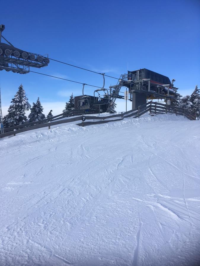 Concordia Harzapart Braunlage Extérieur photo