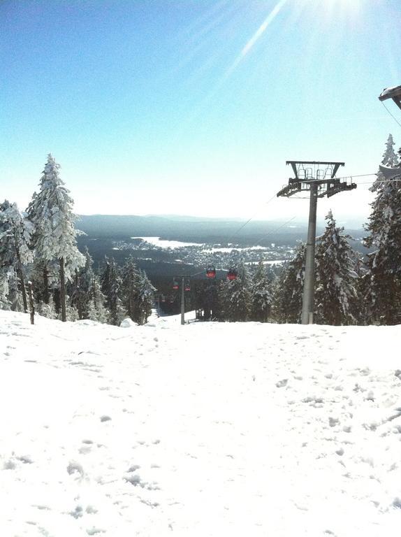 Concordia Harzapart Braunlage Extérieur photo